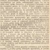 przyjaciel ludu - organ polskiego stronnictwa ludowego 1909 nr 29 s. 11